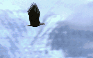 【企业动态】准油股份新增1件判决结果涉及委托合同纠纷